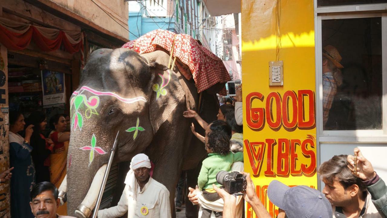 Good Vibes Hostel فاراناسي المظهر الخارجي الصورة